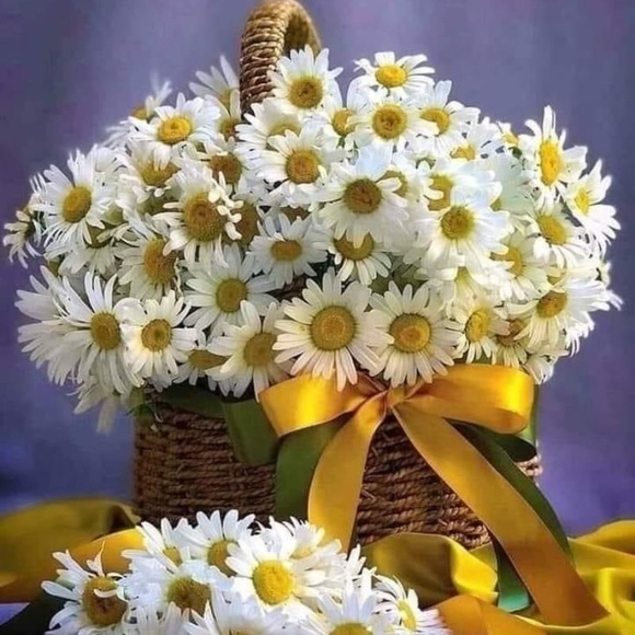 Meet your Posher, Karen - Picture 1 of 3